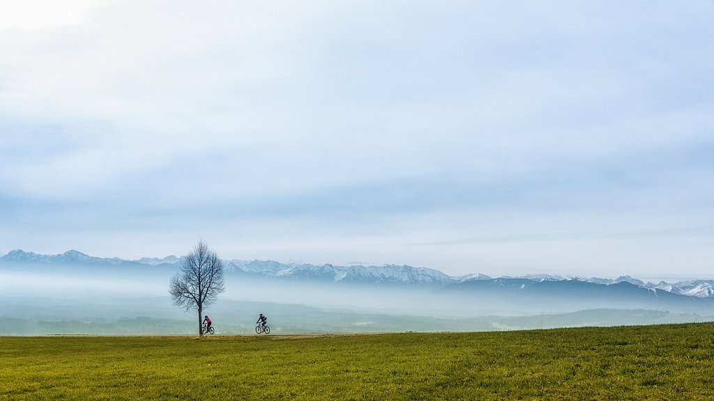 am Morgen